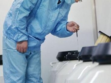 染色体异常与三代试管婴儿养囊风险：胚胎死亡风险分析传闻可信吗？