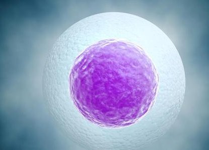 四平市生孩子做染色体检查有必要吗，筛查一次大概需要多少钱？