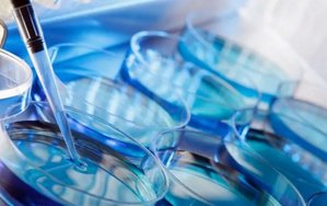 弱精症做二代试管婴儿选择鲜精好吗