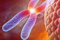 不孕不育症准备做试管 需要做哪些准备