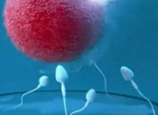 冻胚移植失败后等多久才能再移植？