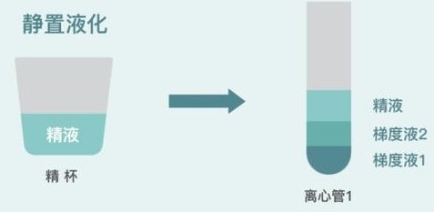 重度宫腔粘连在瑞丽市做试管婴儿靠谱吗，重度宫腔粘连试管婴儿成功率多少！